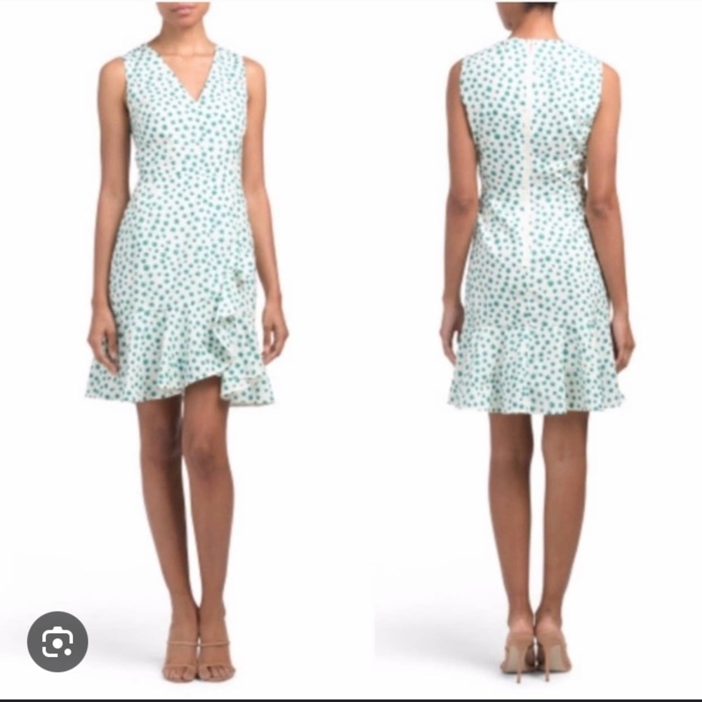 Rebecca Taylor dress
